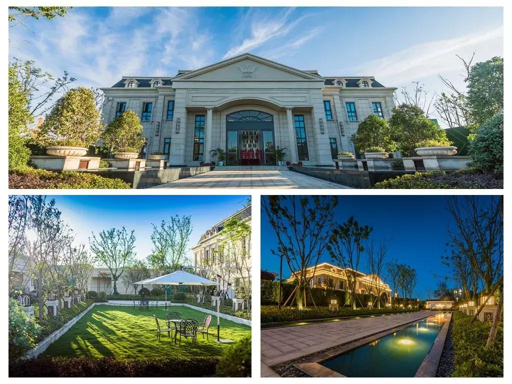 大赞！大型国际组织到访苏通！园区跃升跨国合作“新地标”...