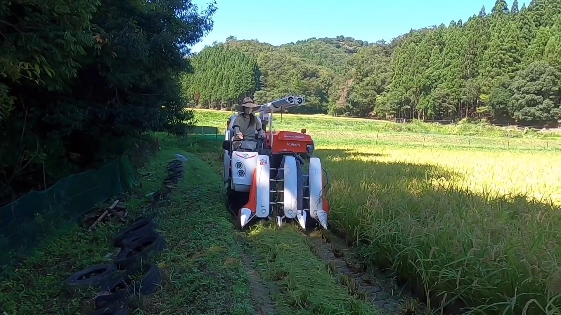 久保田230收割机一小时能割多少亩,久保田小型收割机2023新款价目表
