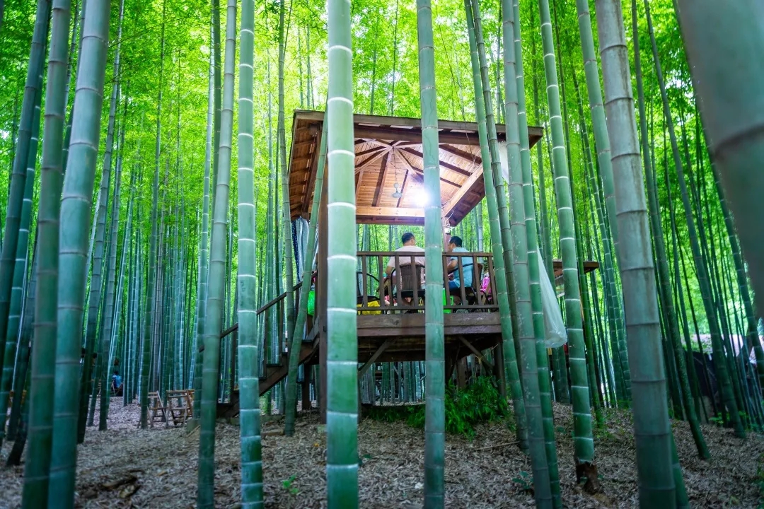 常熟虞山灵异故事,常熟虞山的故事