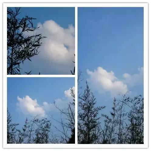 宁海安岚度假酒店,宁海安岚最美的酒店