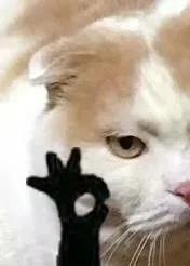 哪些车上路会被扣,哪些违法车辆会被扣留