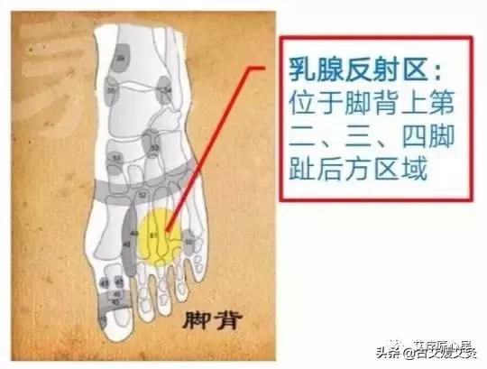 乳腺增生针灸推拿经络疏通,乳腺增生艾灸应灸什么部位