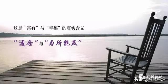 陈春花商业经历,陈春花如何经营生意