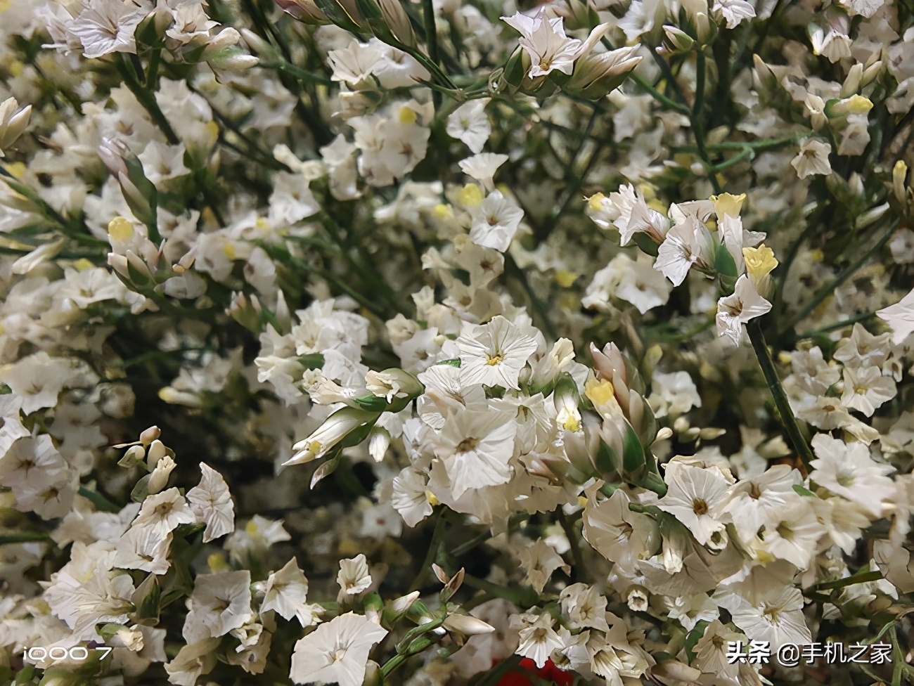 iqooneo5s和iqoo7更推荐哪个,iqoo7评测gt