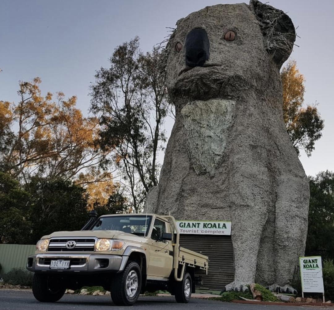 看了就想养的宠物,看了就想养宠物的视频