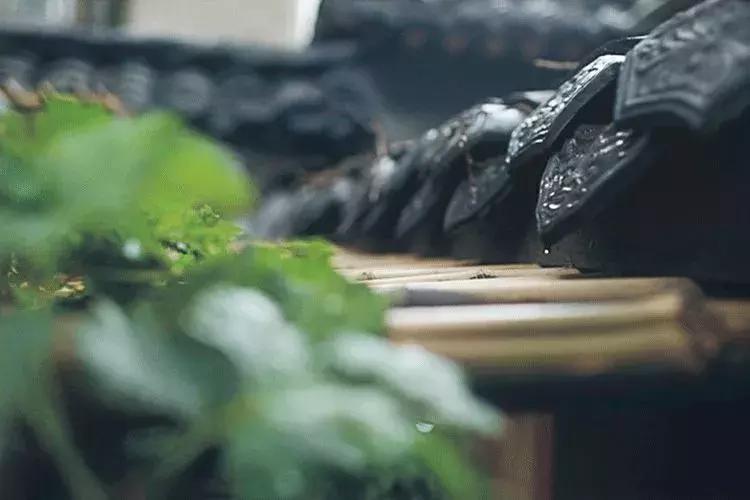 治家格言简短一句话,治家格言很有道理