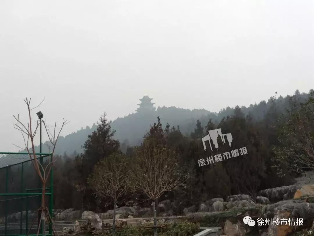 徐州森林公园,徐州森林公园开放时间最新