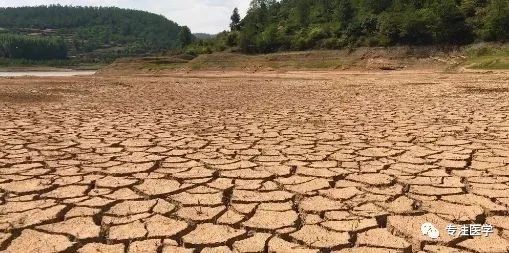 无造影剂冠脉介入治疗,冠脉介入术后护理及并发症