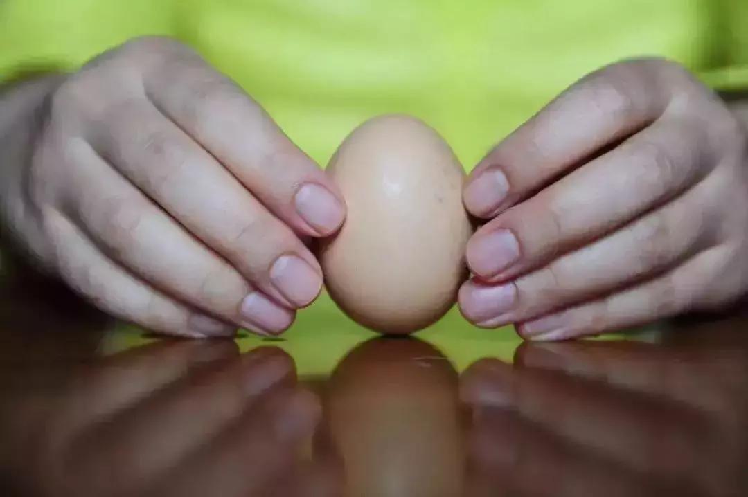 今日春分正是人间好时节,春分小常识每日分享