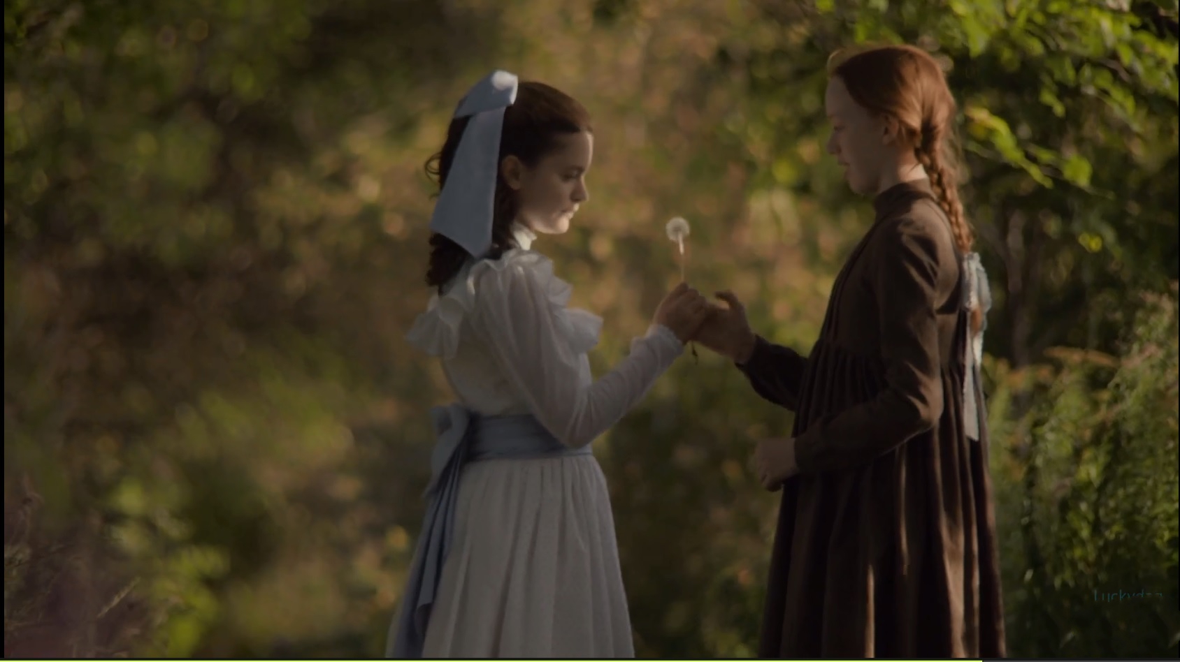 绿山墙的安妮书中的戴安娜,绿山墙的安妮和戴安娜结局