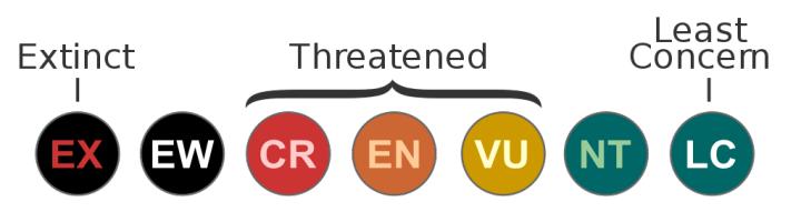 物种灭绝历史,物种灭绝事例