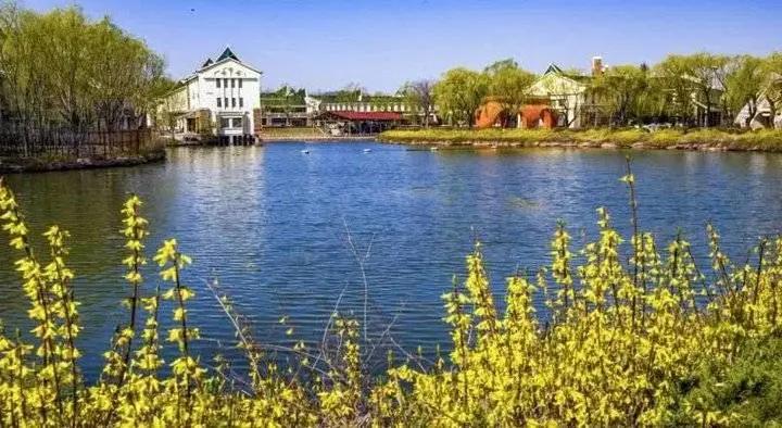 最新山东正在招商的景区,山东免门票的景区都有哪些