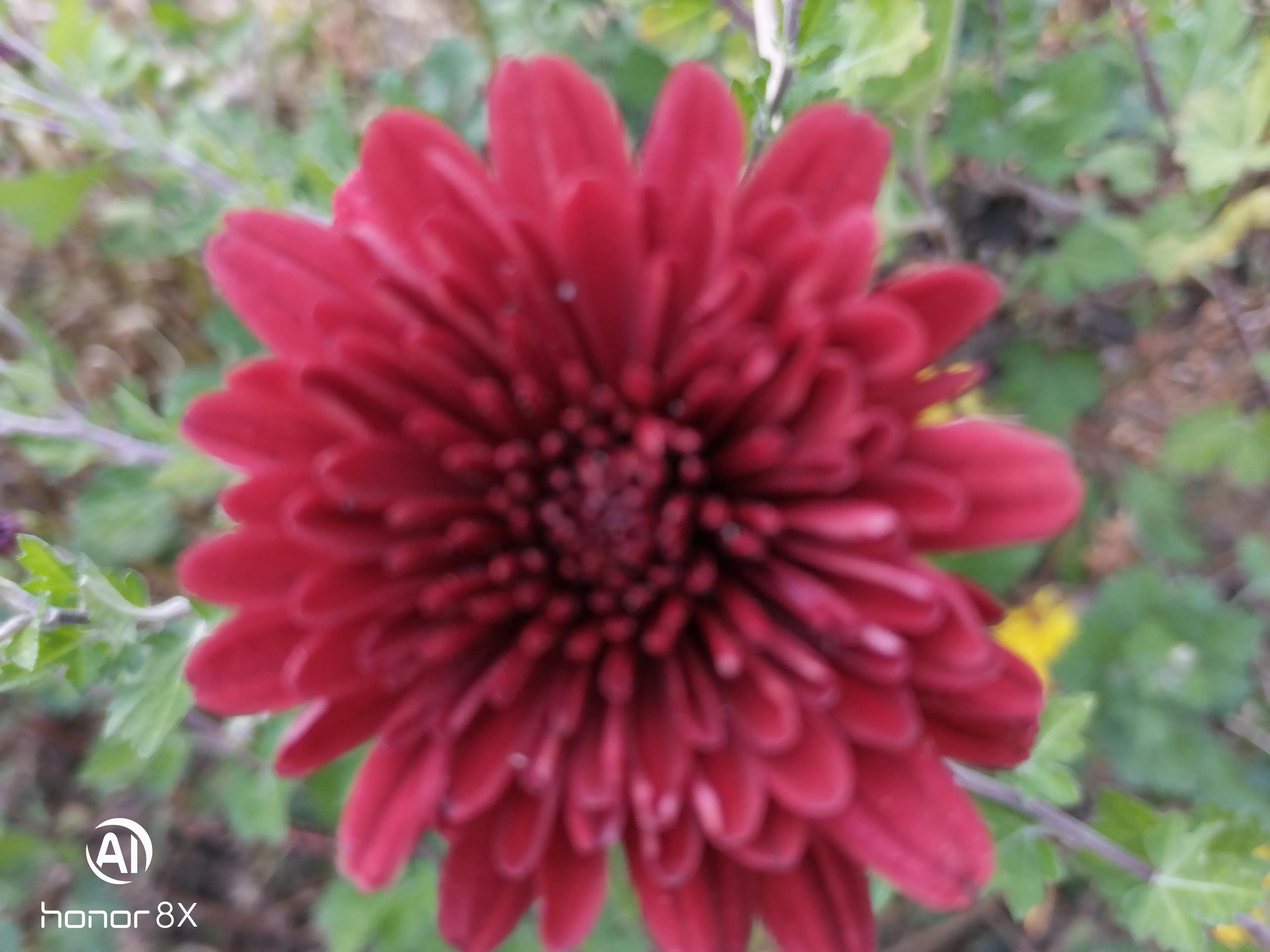 高考语文衔接题型解决方法,高二语文补救最佳方法