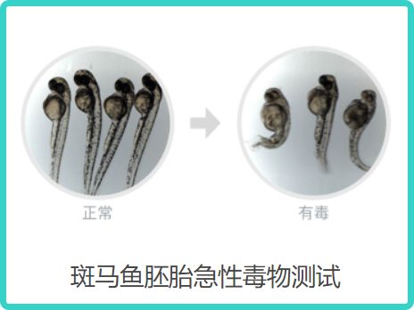 最新面霜测评真实推荐,美白精华粉底