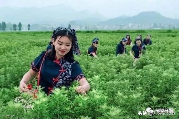 熬夜第二天怎么快速恢复精神,熬夜没有精气神怎么调理