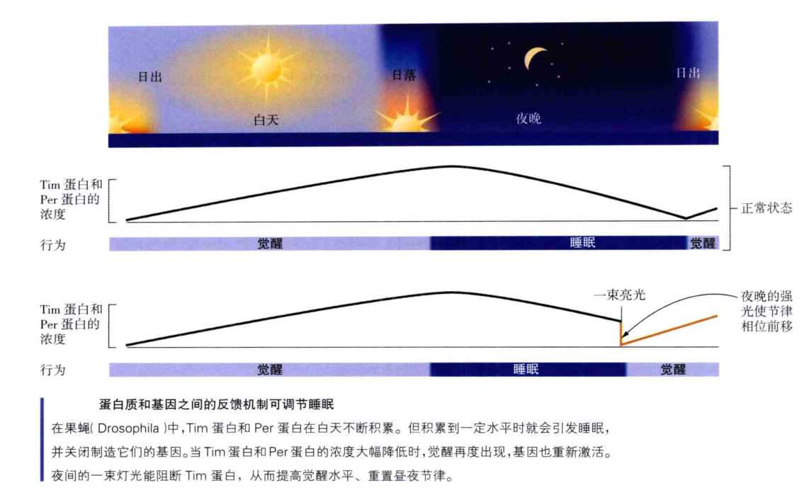 心理学的生物学基础知识,生物心理学知识书籍