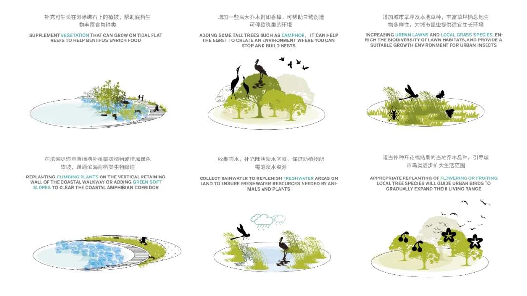 深圳湾超级总部基地绿化,深圳湾超级基地