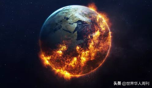 亚马逊雨林救动物,地球之肺亚马逊雨林