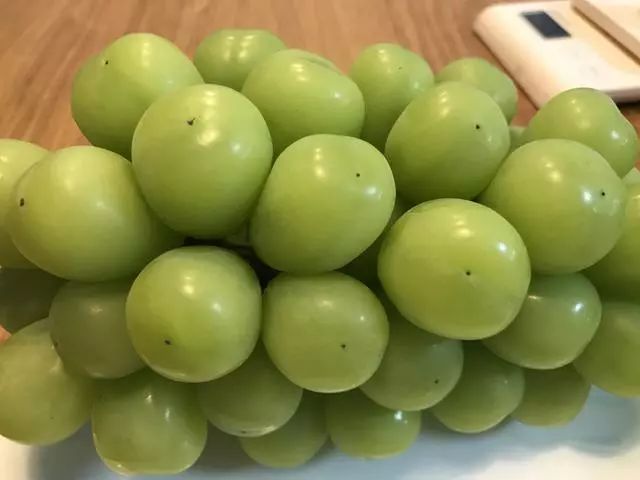 阳光玫瑰网红水果,阳光玫瑰水果视频