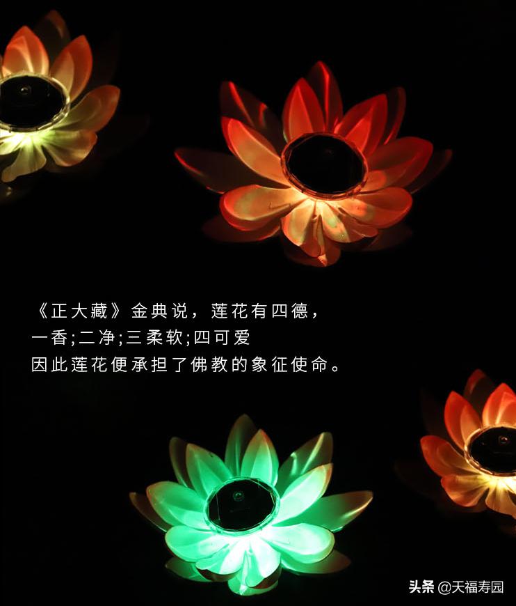 中秋莲花灯的由来,莲花灯的做法