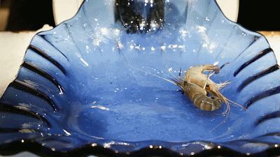 太强了！平价海鲜自助战斗机，0.63元/一道菜