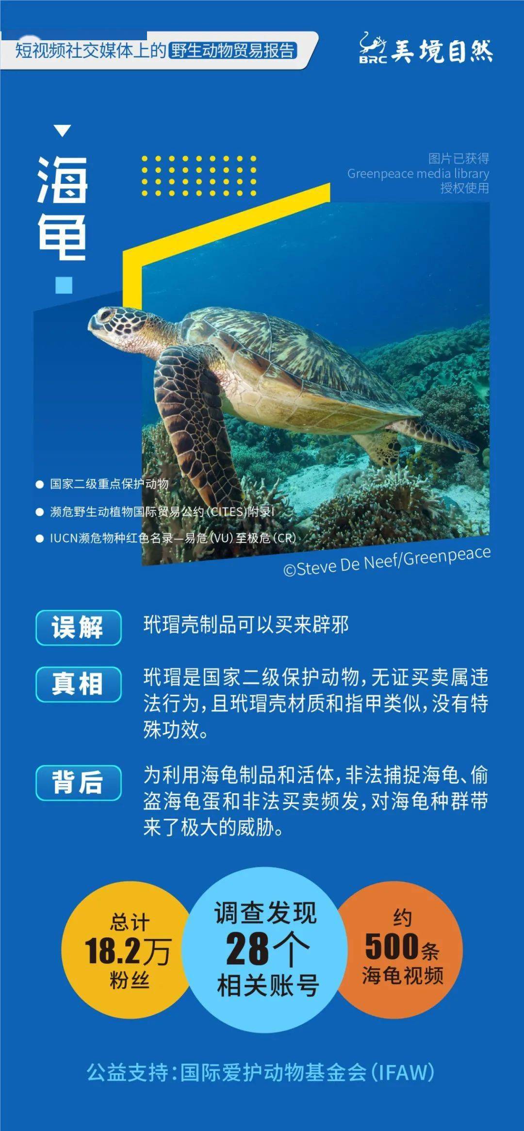 短视频以及电商生态研究报告,短视频与直播电商行业调研报告