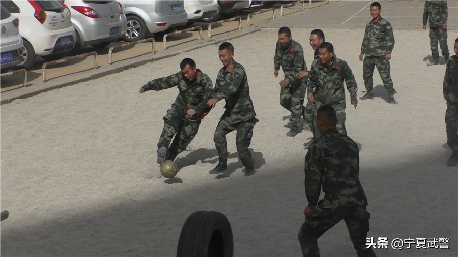 训练要求不严格的表现,训练场地受限怎么说