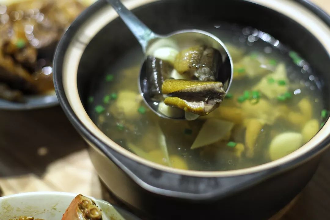 三月赏花一日游上海景点,本月上海赏花一日游最佳去处