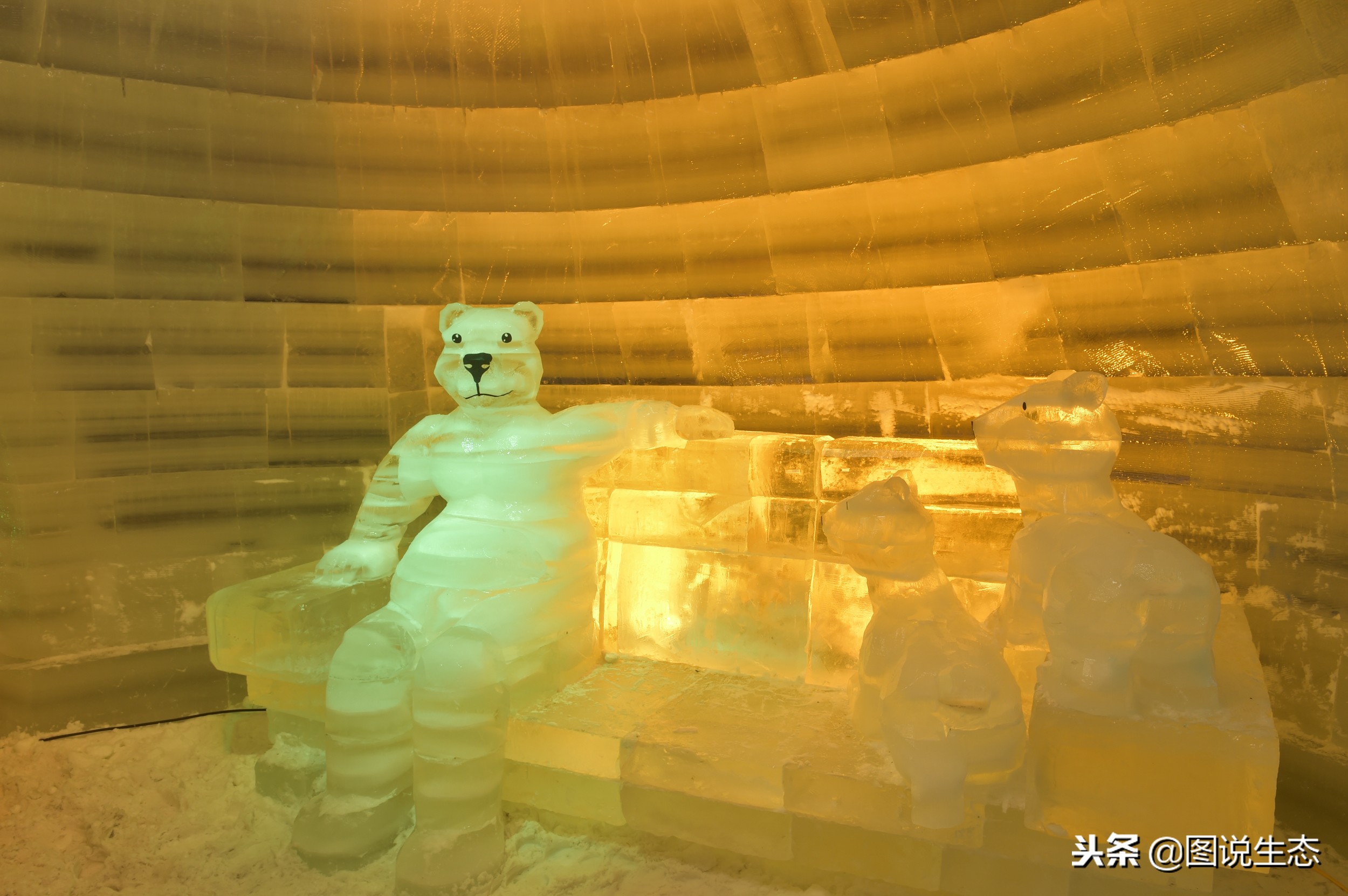 张家口的冬天怎么样,张家口的冬天冷不冷