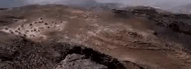 80年代“蜜月期”中国引进的西方*器武**|5