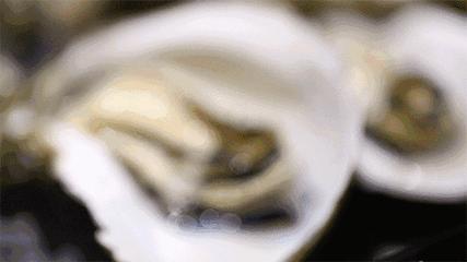 杭州169元海鲜自助餐,双人海鲜自助餐118元杭州