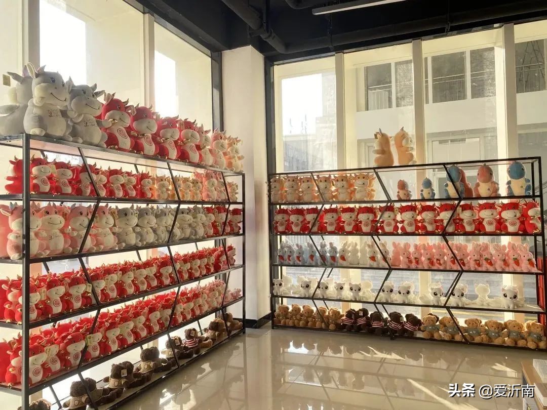 打卡新地标——沂南县图书馆新馆