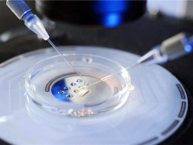 试管婴儿流程步骤图片解释,试管婴儿最痛苦的过程