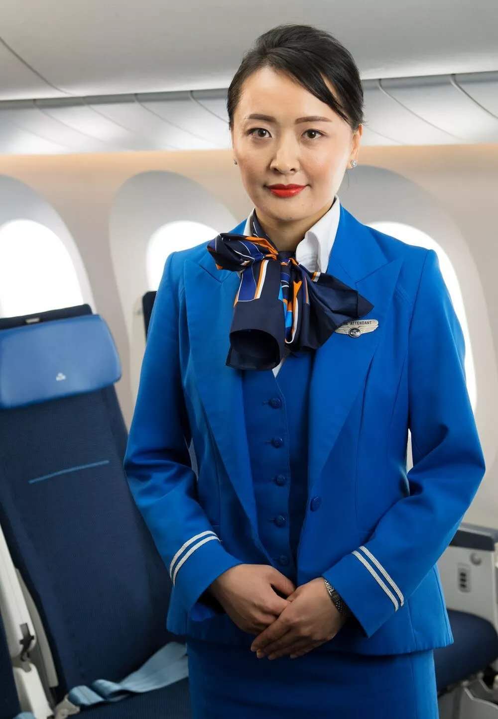 荷兰皇家航空4805号班机,荷兰皇家航空波音787-10