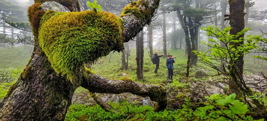 2023平遥国际摄影节获奖摄影作品,2009大理摄影展获奖作品