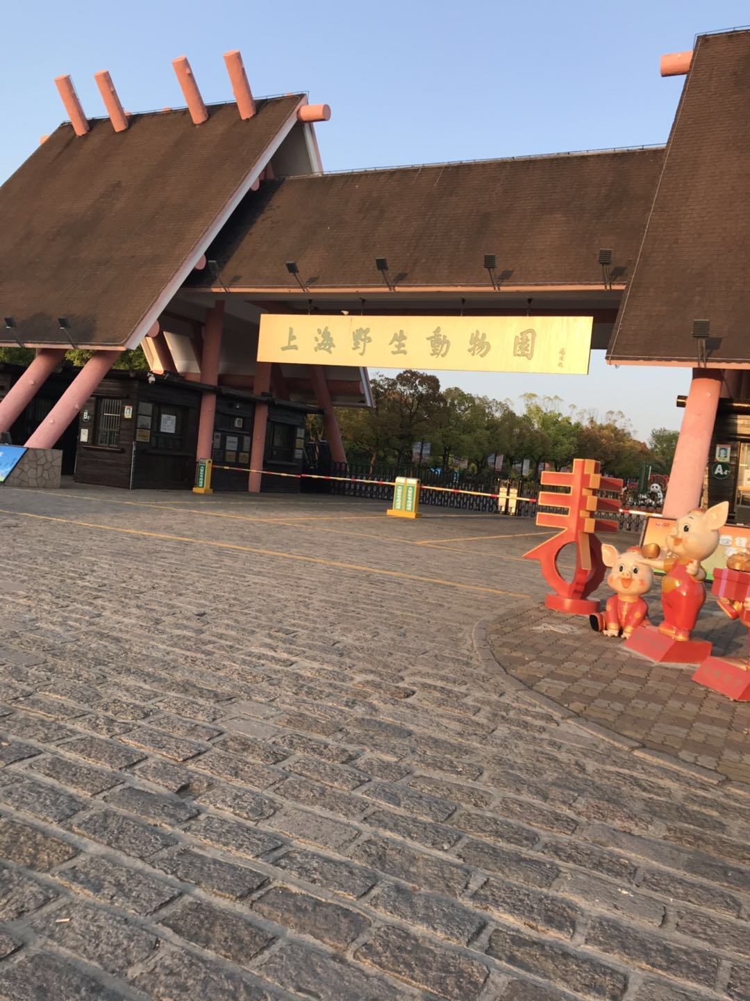 上海野生动物园太阳广场节目安排,上海野生动物园建议游玩时间