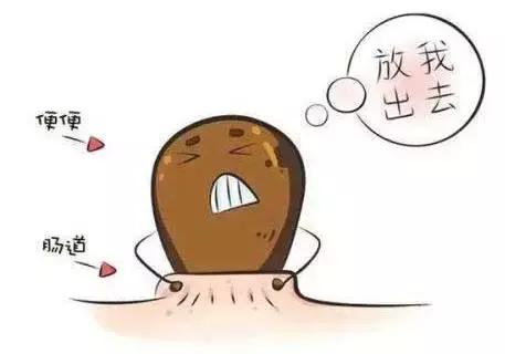 清库存，防便秘，一路顺“肠”，做轻松孕妈