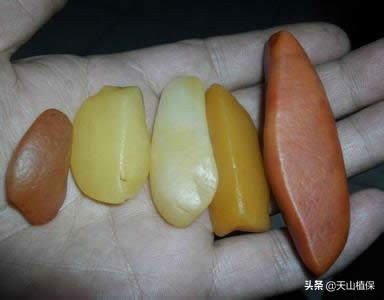 *疆新**石头知多少，请来围观