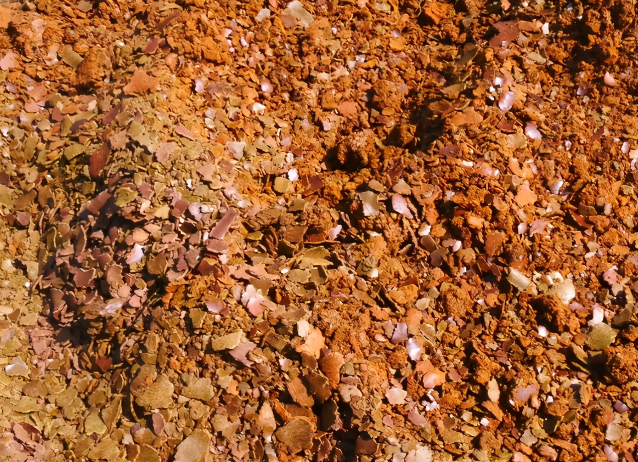 种植蔬菜瓜果多久使用肥料,饼肥磨碎能直接种植蔬菜吗