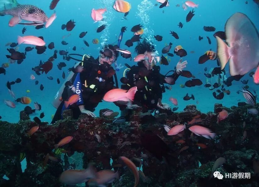 帕劳旅游免签吗,帕劳对中国人是免签吗