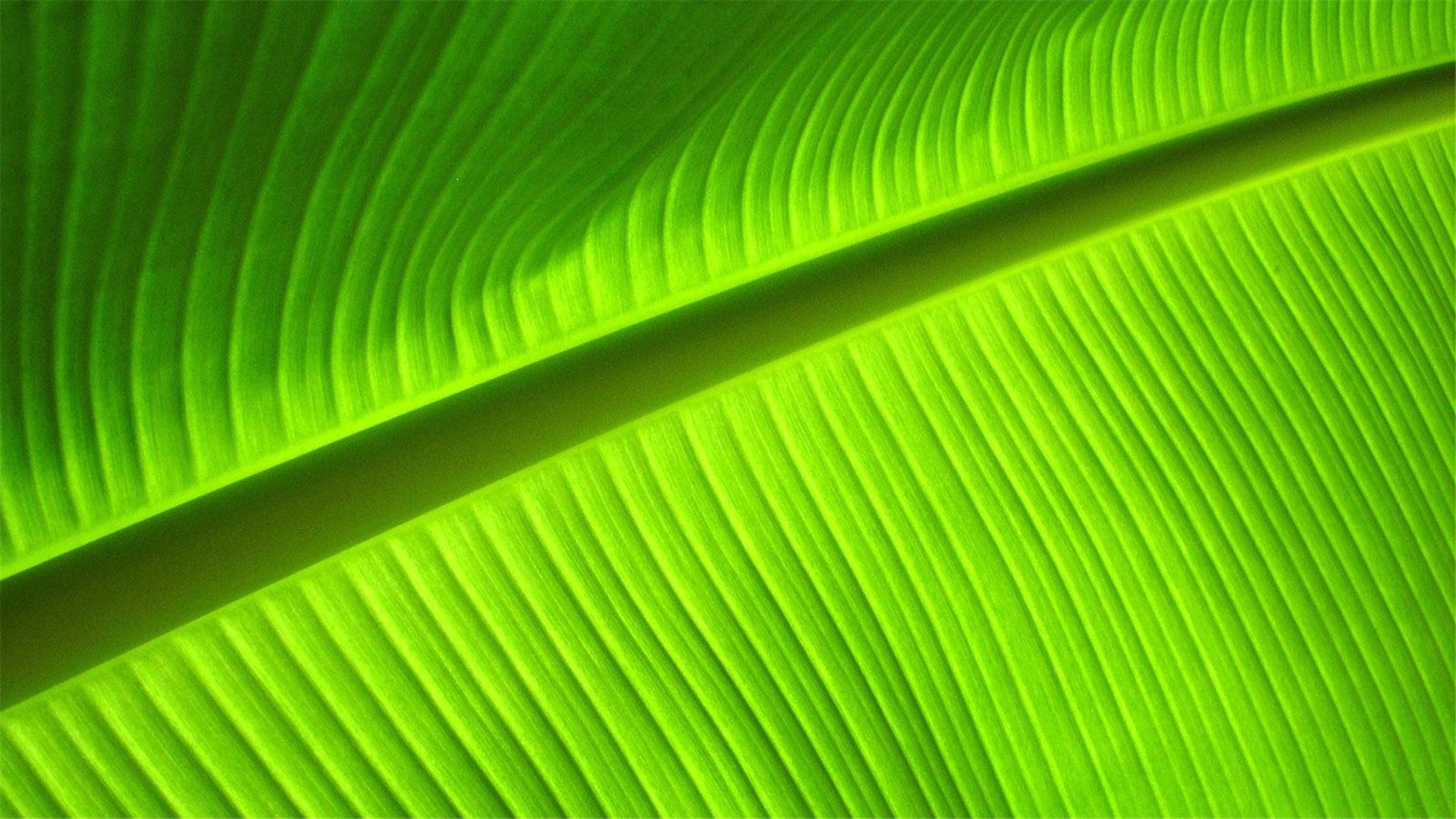 蓝色护眼壁纸唯美图片,最美的护眼桌面壁纸