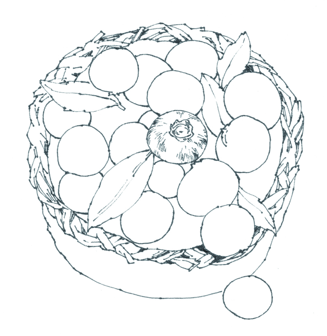 蓝莓味的章鱼小丸子,草莓章鱼小丸子口味