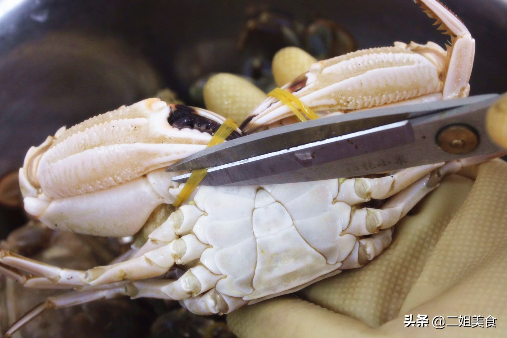 真正挑螃蟹的技巧,教你挑选螃蟹的8个技巧