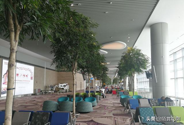 晚上十二点到机场应该怎么睡,半夜到机场如何休息