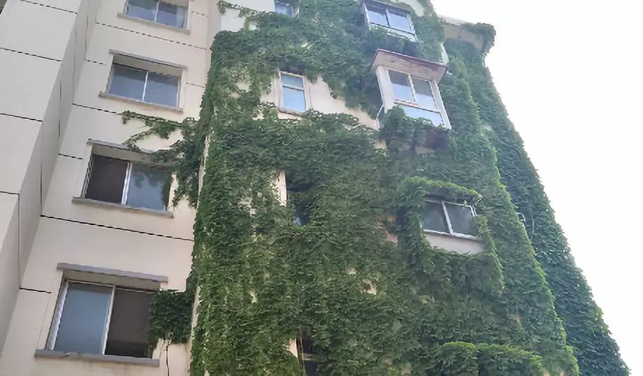 实探新中式楼盘,实探44中学区房