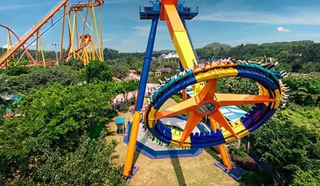 暑假掂过？种草广州长隆野生动物世界！零距离接触动物