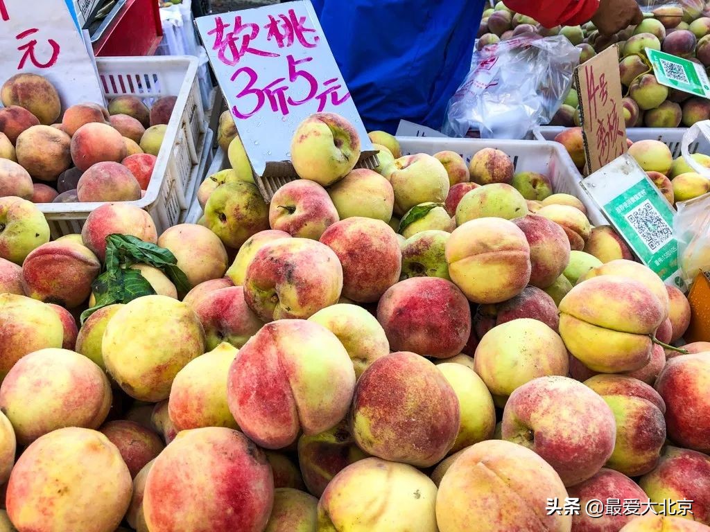 最便宜的早市品种,北方早市有哪些品种