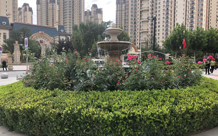 甘肃省兰州市重点高中排名前十,兰州市优秀高中