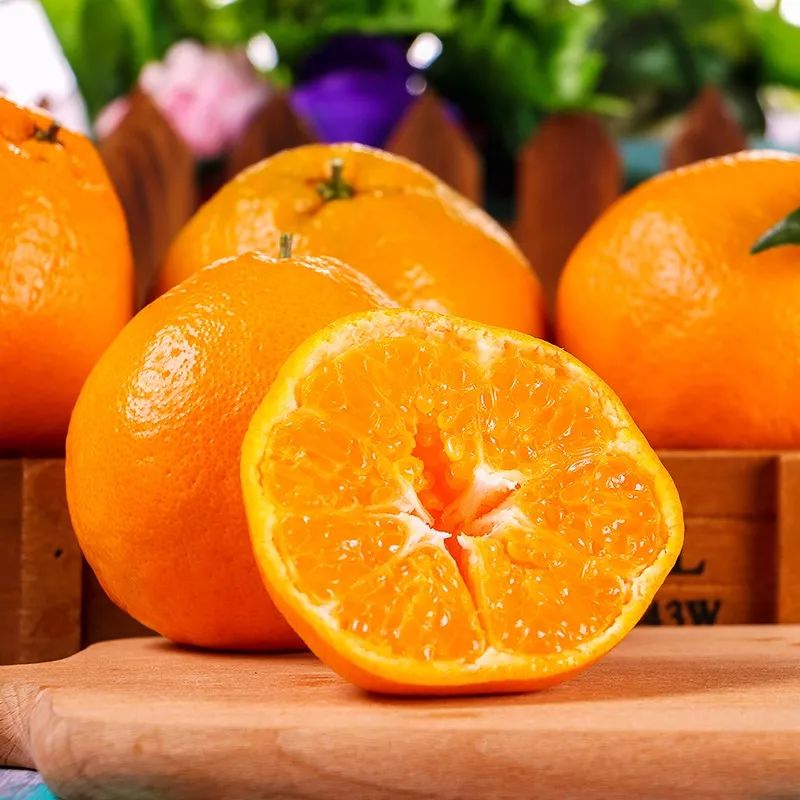 那些被人误解的耙耙柑,不知火丑柑与耙耙柑的区别