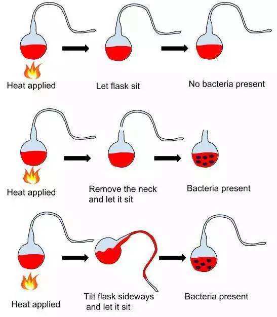 一口气搞懂生命起源